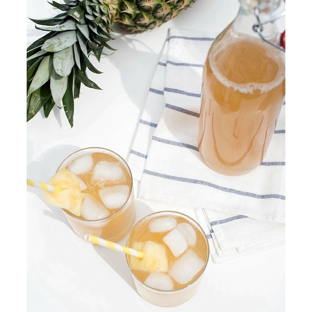 The Kombucha Shop Kombucha Starter Kit Couple Things PH