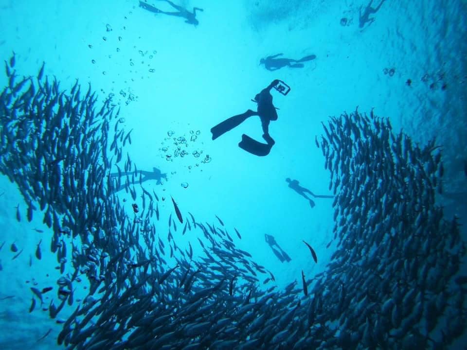 Bauan Diver's Sanctuary - Couple Things PH