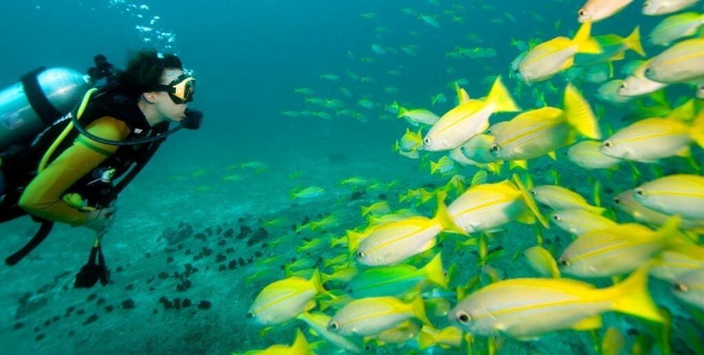 Bauan Diver's Sanctuary - Couple Things PH