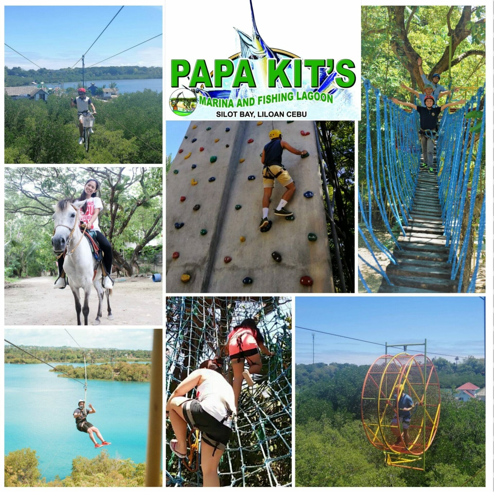 collage of outdoor activities such as wall climbing, zipline, and horseback riding